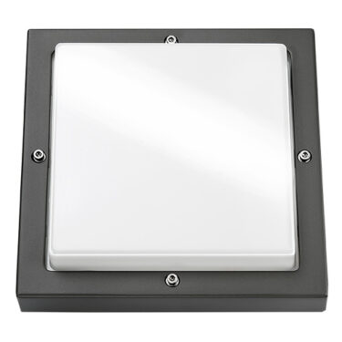 SG Bassi Grafitt 10W 3000K Dimbar