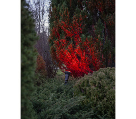 LED LAMP E27 PAR38 SPOTLIGHT OUTDOOR 3