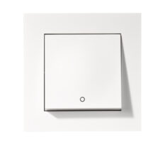 Elko Plus Bryter Innfelt 2-Pol PH