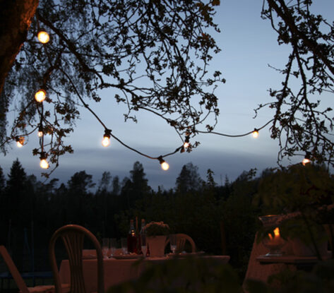 LED LAMP E27 A55 OUTDOOR LIGHTING 3