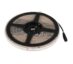 NP 24V LED Strips 6000K IP68 4.8W/M 60Led/M 5m