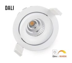 downlight-13w-dali-led